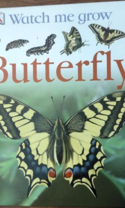 Butterfly (Watch Me Grow)