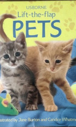 Pets (Usborne Lift-The-Flap)