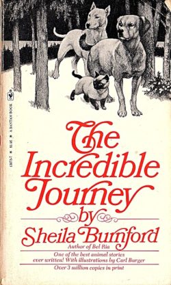 The Incredible Journey