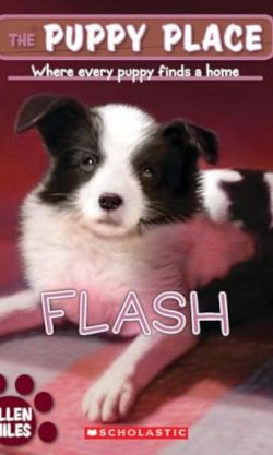 The Puppy Place: Flash