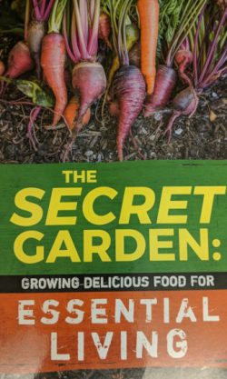 The Secret Garden: Growing Delicious Food
